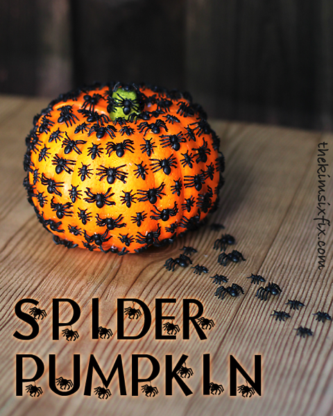 Pumpkin spiders
